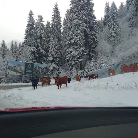 Sneska Vakantiehuis Jahorina